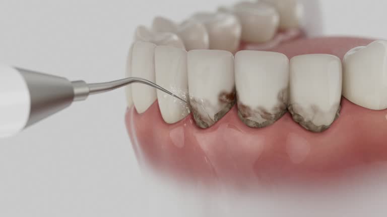 Reliable Dental contractor in Montegut, LA by Dentist Open Now